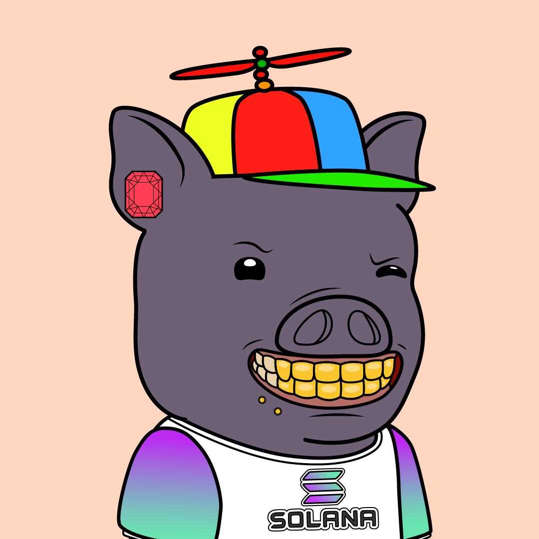 Piggy Sol Gang